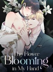 the-flower-blooming-in-my-hand